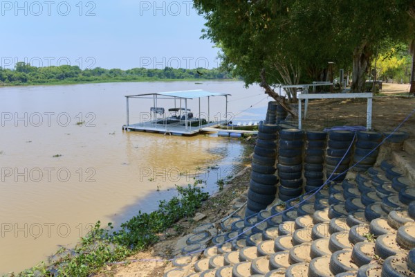 A low jetty lies on the riverbank in the shade of trees with stacked tires nearby, Porto Jofre, Pantanal, Mato Grosso, Brazil