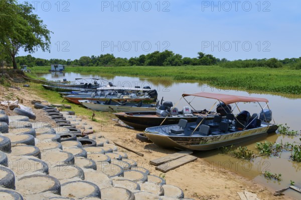 Five boats are moored on a quiet riverbank against green vegetation under a clear sky, Porto Jofre, Pantanal, Mato Grosso, Brazil