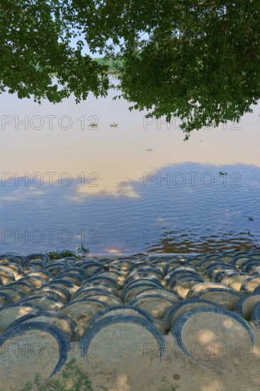 The riverbank is paved with stacked tires, shaded by treetops, Porto Jofre, Pantanal, Mato Grosso, Brazil