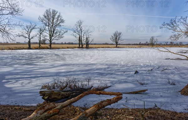 Ice and snow-covered foothills of the Oder in the area of the Schwedt lock in the Lower Oder Valley National Park. aerial view. Schwedt, Uckermark, Brandenburg, Germany