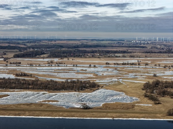 Ice and snow-covered foothills of the Oder in the Lower Oder Valley National Park. aerial view. Schwedt, Uckermark, Brandenburg, Germany