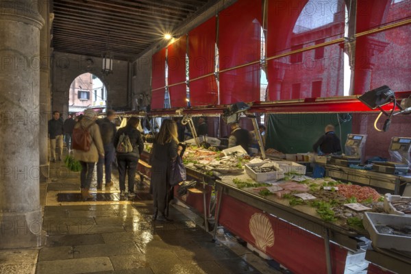 Fish market, rialto market in the San Polo district, Venice, Veneto, Italy