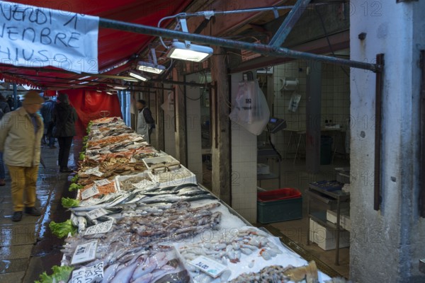 Offer at the fish market, Rialto market in the San Polo district, Venice, Veneto, Italy