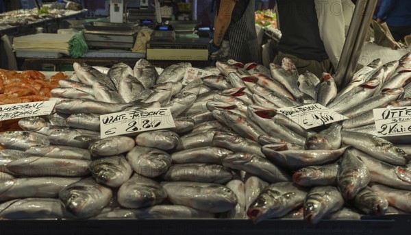 Fresh sea bream (Bramidae) at the fish market, Venice, Veneto, Italy