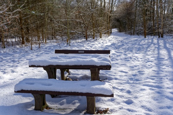 Snow-covered table and benches at a rest area on the bridge tour, a hiking trail around Lake Kirchensee, in the UNESCO Schaalsee Biosphere Reserve. Zarrentin, Mecklenburg-Western Pomerania, Germany