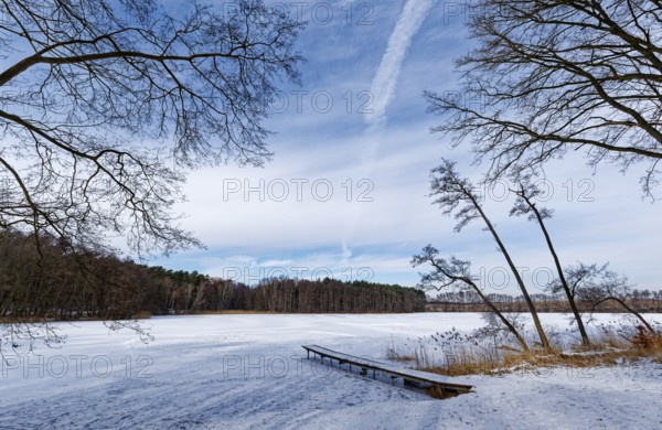 Winter day at the swimming area and jetty on the snow-covered Heiliger See, a lake in the Grumsin Beech Forest UNESCO World Heritage Site, part of the UNESCO Schorfheide-Chrorin Biosphere Reserve. Altkünkendorf, Angermünde, Uckermark, Brandenburg, Germany
