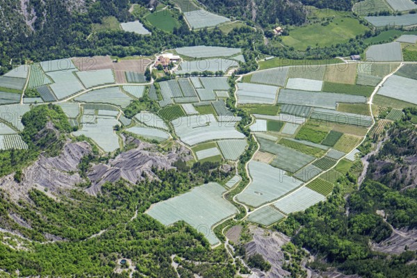 Alps, Alpes-de-Haute-Provence, Alpes Maritimes, Gap, France, mountains, aerial view, plantation, apples, pears, fruit, food, farm, tarp, net, irrigation, southern Europe, southern France
