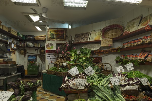 Small vegetable shop, Venice, Veneto, Italy