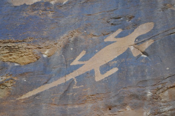 Close-up of lizard petroglyphs, petroglyphs from the Fremont culture, on sandstone, Dinosaur National Monument, Utah, USA