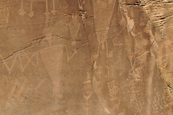 Part of a rock with ancient petroglyphs from the Fremont culture, Dinosaur National Monument, Utah, USA