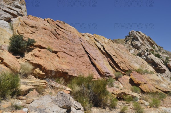 Bright orange rocks with vegetation under clear sky, Dinosaur National Monument, Utah, USA