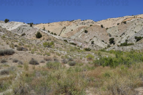 Colourful hills with sparse vegetation and clear skies in desert-like surroundings, Dinosaur National Monument, Utah, USA