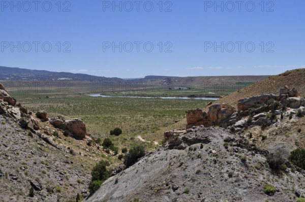 Wide valley with rocky hills and green vegetation under clear skies, Dinosaur National Monument, Utah, USA