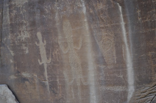 Historic engravings of lizards, petroglyphs from the Fremont culture, on a rock, Dinosaur National Monument, Utah, USA
