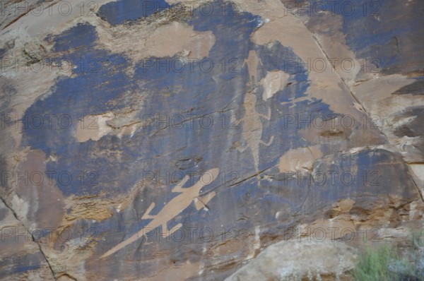Petroglyphs of the Fremont culture of lizards on a blue sandstone, Dinosaur National Monument, Utah, USA