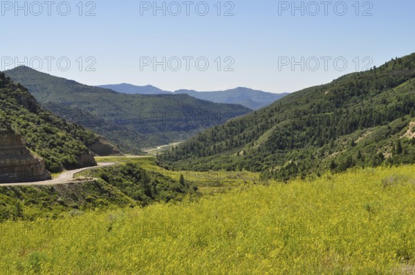 View of a green valley with a winding road surrounded by mountains under a clear sky, Dinosaur National Monument, Utah, USA