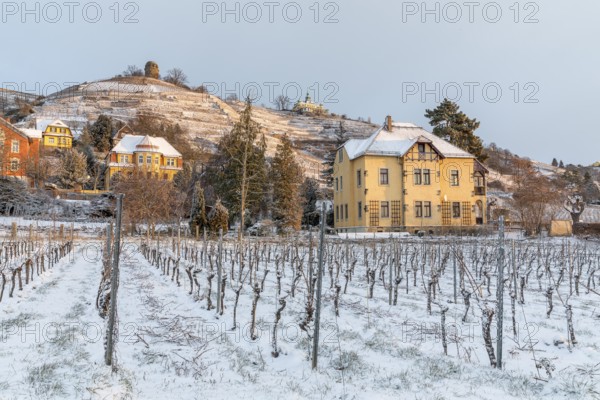 Twilight view of Oberlößnitz vineyards in snow with Bismarck Tower and Spitzhaus, Radebeul, Saxony, Germany