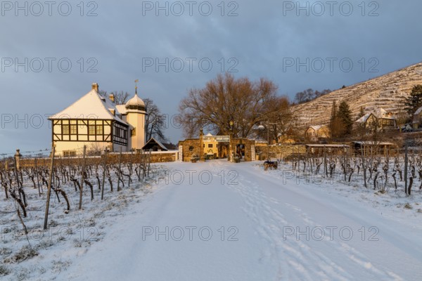 Sunrise at the Hoflössnitz winery in winter, Oberlössnitz in the snow, Radebeul, Saxony, Germany