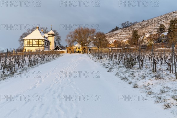 First rays of sunshine at the Hoflössnitz winery in winter, Oberlössnitz in the snow, Radebeul, Saxony, Germany