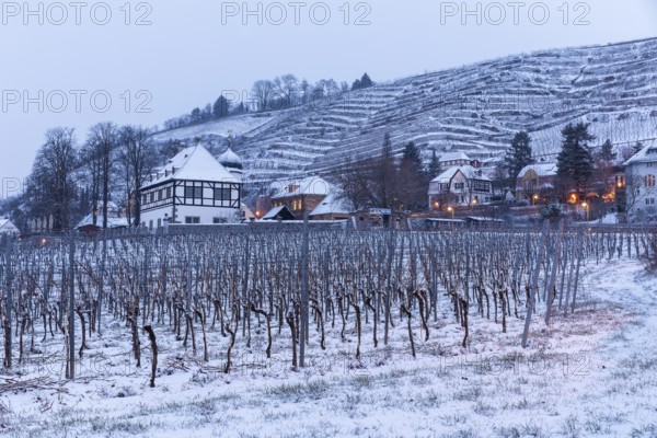 Hoflößnitz located in the wintry vineyards, Oberlößnitz, Radebeul, Saxony, Germany