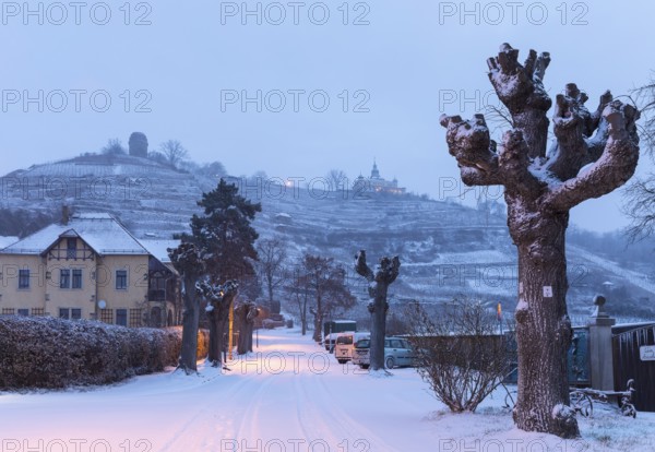 Twilight view of Oberlößnitz vineyards in snow with Bismarck Tower and Spitzhaus, Radebeul, Saxony, Germany