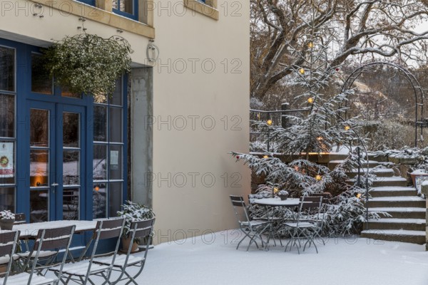Still life of an illuminated Christmas tree, stairs and sitting area in the snow, Aust Winery, Oberlößnitz, Radebeul, Saxony, Germany