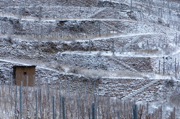 The snow-covered walls and terraces in the Golden Wagon vineyard create a graphic pattern, Oberlössnitz, Radebeul, Saxony, Germany