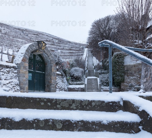 Spitzhaustreppe und Gates zum vineyard Goldener Wagen im Schnee, Oberlössnitz, Radebeul, Saxony, Germany