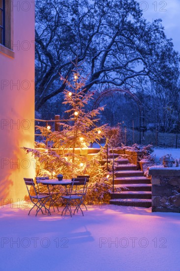 Still life with illuminated Christmas tree, stairs and table with chairs in the snow at blue hour, Aust Winery, Radebeul, Saxony, Germany