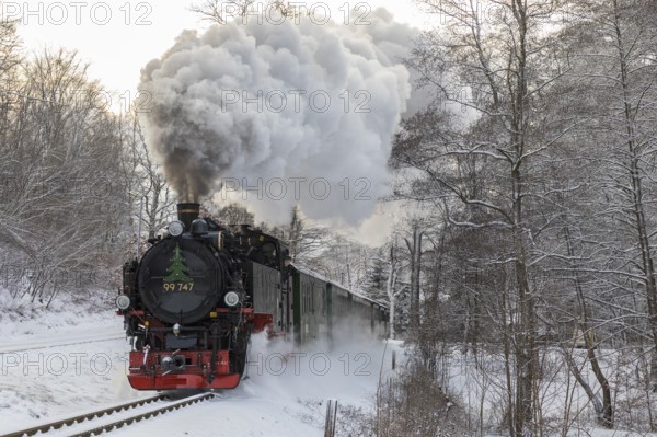 Lößnitzgrundbahn in snow, narrow-gauge railway steam locomotive between Radebeul and Radeburg, here in Friedewald, Radebeul, Saxony, Germany