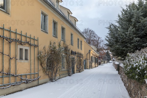 Historic wine houses with trellises on the snowy vineyard road in Oberlössnitz, Radebeul, Saxony, Germany