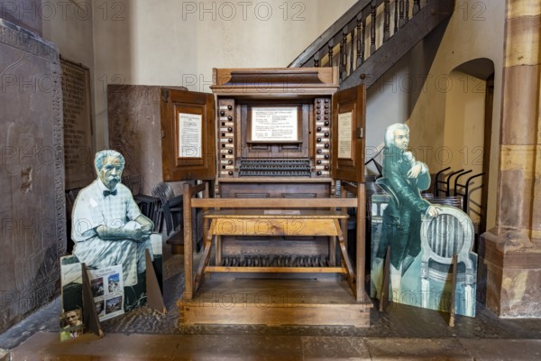 The Silbermann organ from 1741, on which Wolfgang Amadeus Mozart already played in 1778, in the interior of the Lutheran St. Thomas Church or Église Saint-Thomas), Strasbourg, Alsace, France