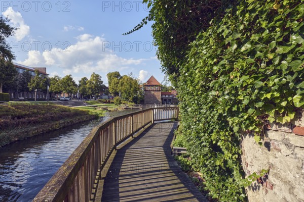 Mühlenstever, river Stever, wooden footbridge, wooden railing, wall, common ivy (Hedera helix), general architecture, houses, green area, lawn, trees, blue sky, cumulus clouds, Borgmühlenpättken, Lüdinghausen, Münsterland, Coesfeld district, North Rhine-Westphalia, Germany