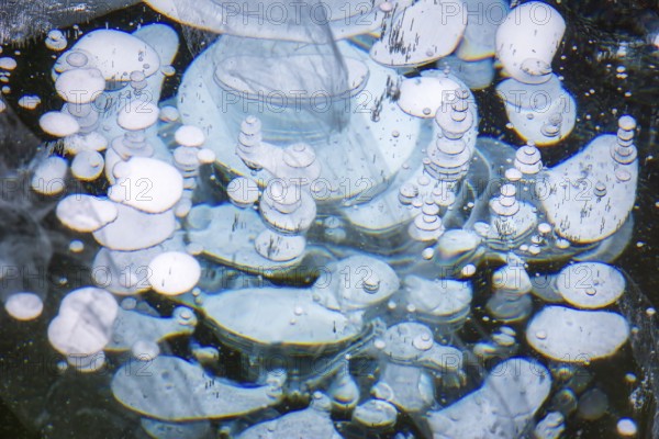 Lake Baikal is located in southern Siberia, Russia, near the city of Irkutsk. It is the deepest lake in the world, with a maximum depth of about 1, 642 meters (5, 387 feet), and the largest freshwater lake by volume, containing roughly 20% of the world's surface freshwater. Its surface area spans approximately 31, 500 km² (12, 200 sq mi). Baikal is a unique ecosystem, home to hundreds of endemic plant and animal species, including the famous Baikal seal, and plays a crucial role in the region's climate and biodiversity. Due to its outstanding natural significance, it was designated a UNESCO World Heritage Site in 1996