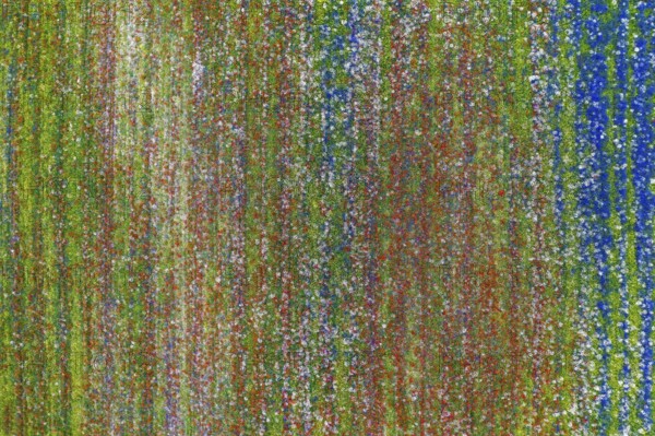 The lentil bloom in Castelluccio di Norcia, nestled in the Sibillini Mountains of the Italian Apennines (Umbria and Marche region, Italy) In the lentil fields also grow red poppies, daisies, cornflowers, wild orchids, gentians, mallow, borage, yarrow, primroses, and valerian