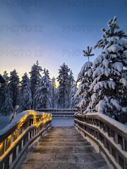 Staircase with fairy lights between snowy trees in winter, evening mood, Oulanka National Park, Kuusamo, Finland