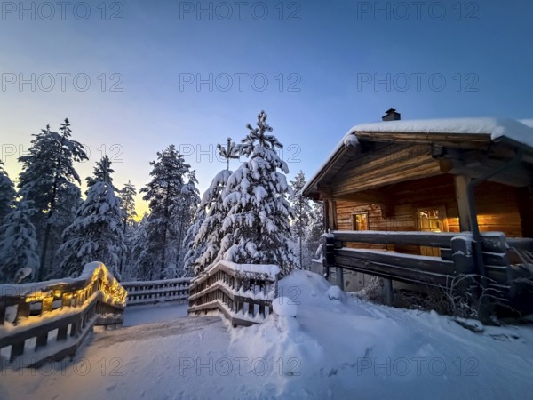Snowy trees and illuminated wooden house in winter, evening mood, Oulanka National Park, Kuusamo, Finland