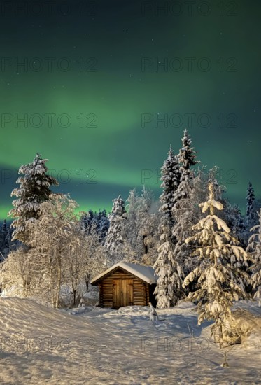 Northern lights, aurora borealis in the night sky, wooden cabin in snowy landscape, Oulanka National Park, Kuusamo, Finland