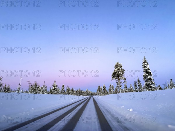 Road through snowy landscape with forest, pink sky at sunrise, Lapland, Finland