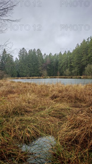 Quiet forest landscape with a small lake and wintry meadows under cloudy skies, hiking on the former inner-German border on the green belt near Mitwitz, Franconian Forest nature park Park