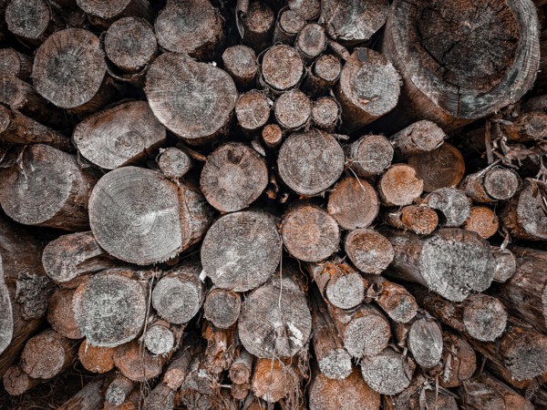 Close-up of cut tree trunks showing a rustic wooden structure, hiking on the former inner-German border on the green belt near Mitwitz, Frankenwald nature park Park