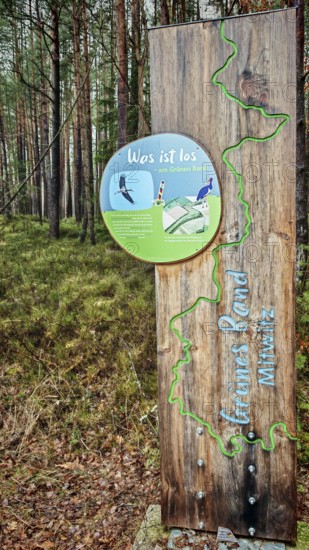 Wooden sign with information about the Green Belt in a forest, hiking on the former inner-German border on the green belt near Mitwitz, Frankenwald nature park Park