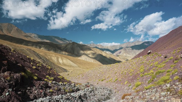 Mountain panorama, diverse mountain landscape with barren soil and colorful colors under cloudy sky, trekking in Ladakh, Stok la, Himalayas, India
