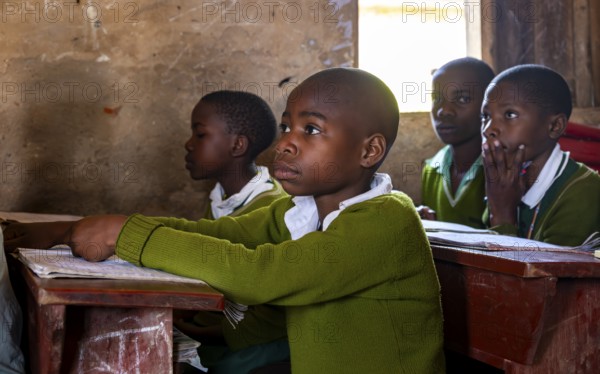 Schoolchildren in school uniform alert during class, sitting at school desks in the classroom, Rushaga, Western Region, Uganda