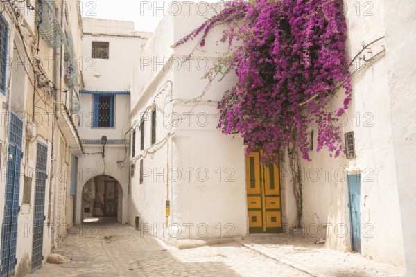 Traditional coloured door of typical Tunisian architecture in the colourful alleyways of the Medina in Tunis, capital of Tunisia, North Africa