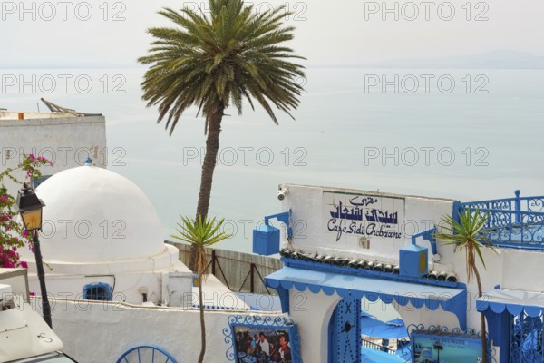 May 17th 2024. Sidi Bou Said, Tunisia. Café des Délices or Café Sidi Chabaane the most famous café in Sidi Bou said, one of the best places to drink coffee with a stunning view of the harbour and Mediterranean, Tunisia