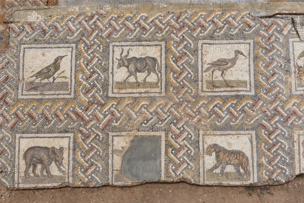 May 17th 2024. Carthage, Tunisia Mosaics at the ancient archaeological ruins of the Phoenician city of Carthage overlooking the Gulf of Tunis and the Mediterranean, Tunis, Tunisia