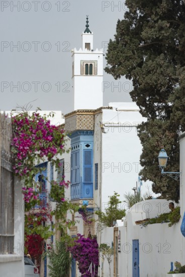Mosque minaret in the narrow street of the beautiful cliff top village of Sido Bou Said, known for its traditional blue and white architecture and Mediterranean views, Tunisia