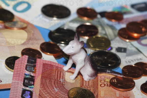 Miniature bull terrier figure sitting on euro coins surrounded by banknotes against a blue background, North Rhine-Westphalia, Germany