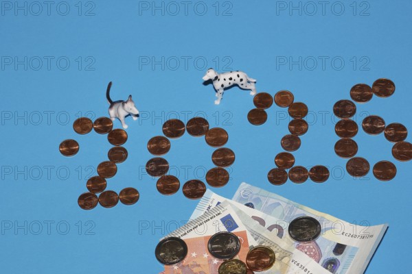 Bull terrier and Dalmatian miniature figure standing on a blue background with euro coins and notes, North Rhine-Westphalia, Germany